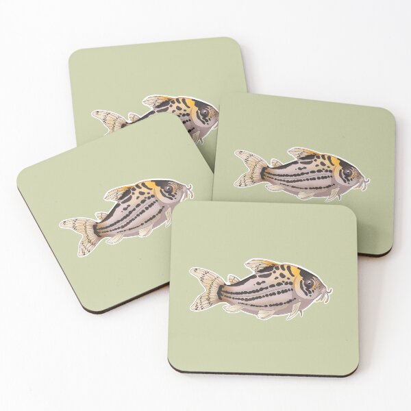 Item preview, Fishkeeping fanatic - Schwartzi  (Schwartz's) Corydoras designed and sold by Puddmuppy.