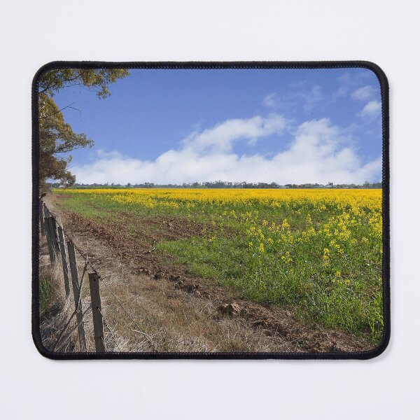 Item preview, Canola in a Field designed and sold by Peter Edwards.