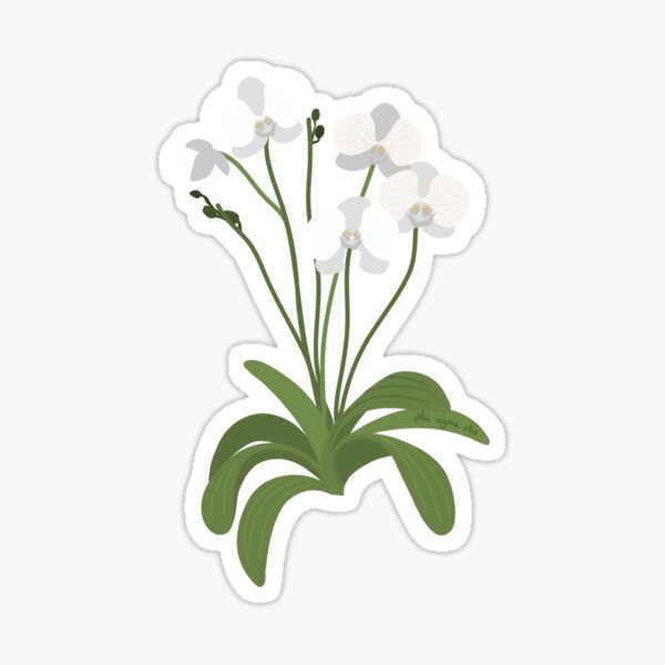 Item preview, White Orchids designed and sold by osuphirho.