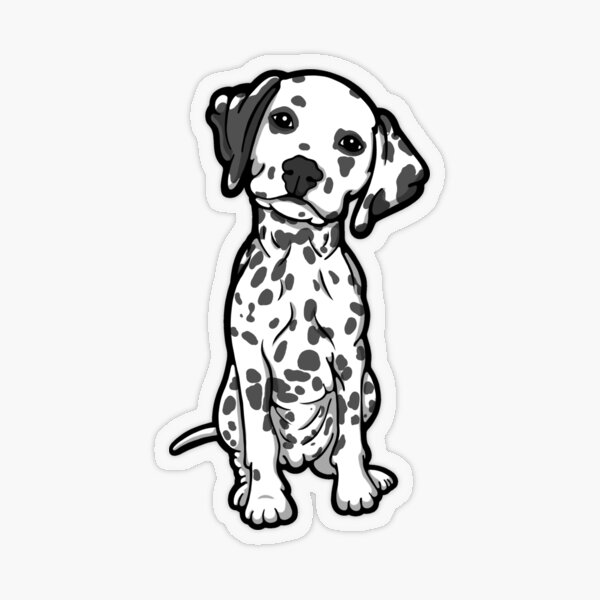 Dalmatian White Grey Spots Transparent Sticker