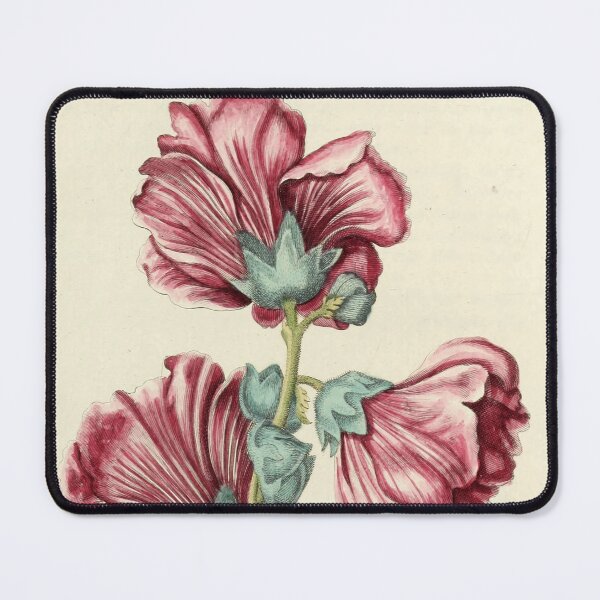 Item preview, Vintage Malua Rosea Print from Nederlandsch bloemwerk (1794) designed and sold by Douglas E. Welch Design and Photography.