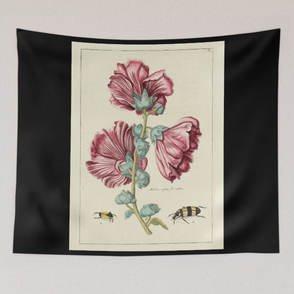 Item preview, Vintage Malua Rosea Print from Nederlandsch bloemwerk (1794) designed and sold by Douglas E. Welch Design and Photography.