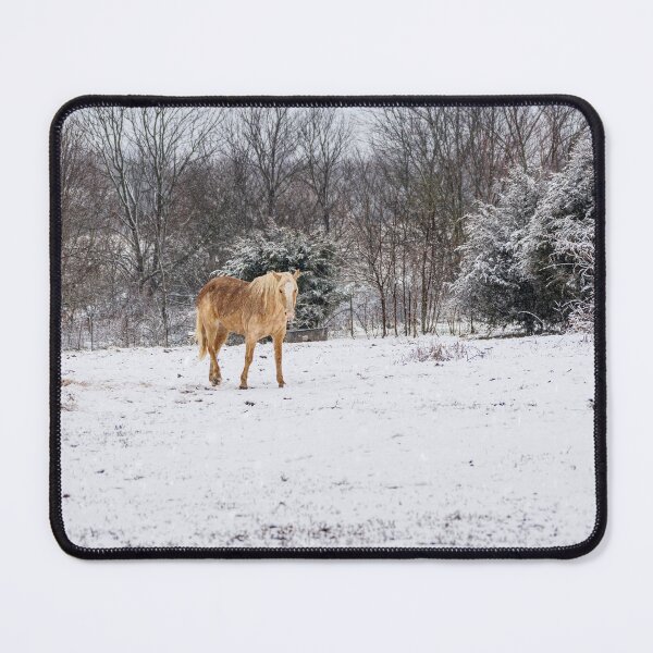 Item preview, Blonde Horse In The Snow designed and sold by mljdwhite.