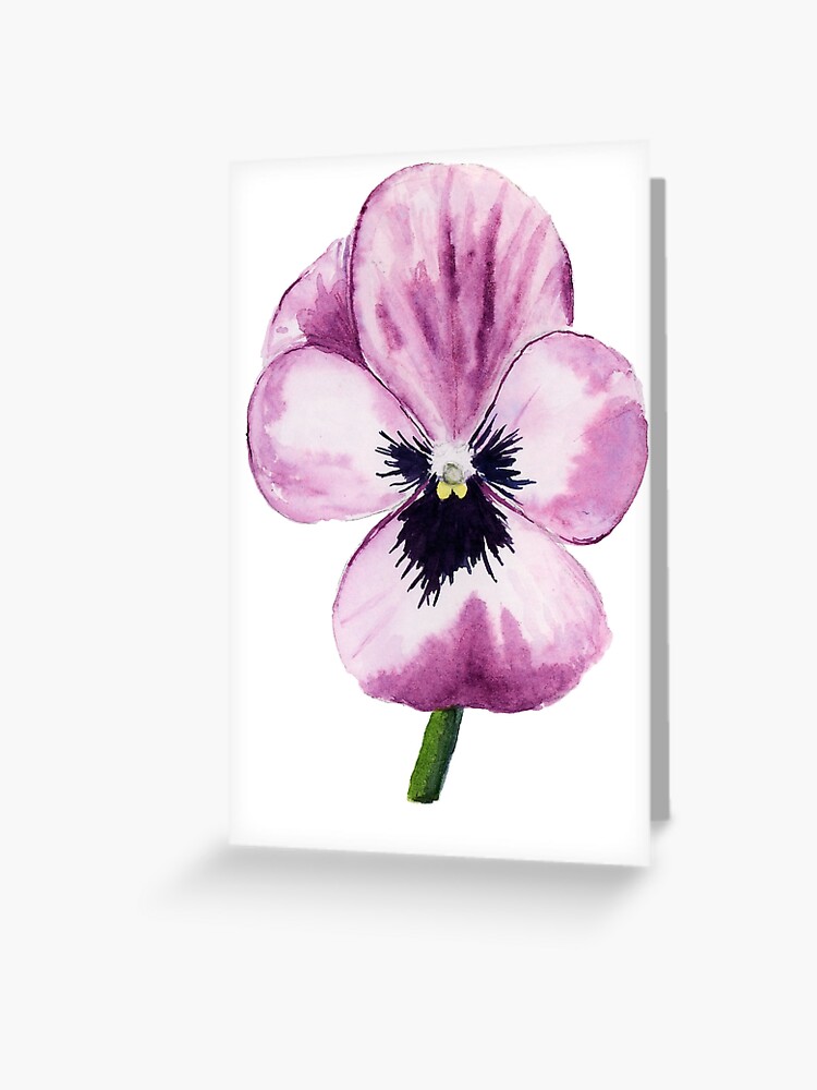 Tarjetas de felicitación «pensamiento violeta» de jojowatercolors |  Redbubble