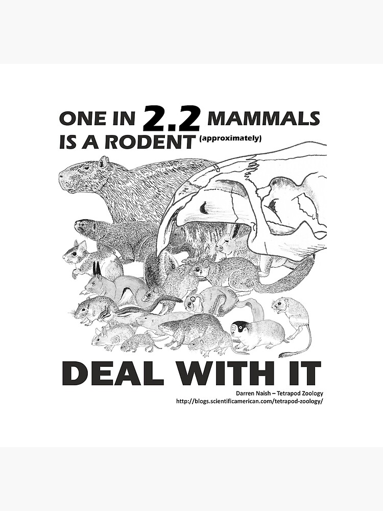 There are a lot of rodents by TetZoo