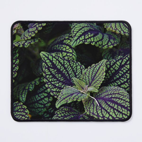 Item preview, Deep Green designed and sold by WinterRabbitArt.