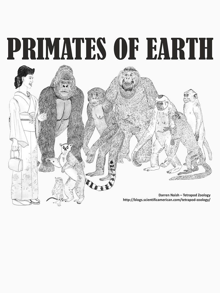 Primates of Earth by TetZoo