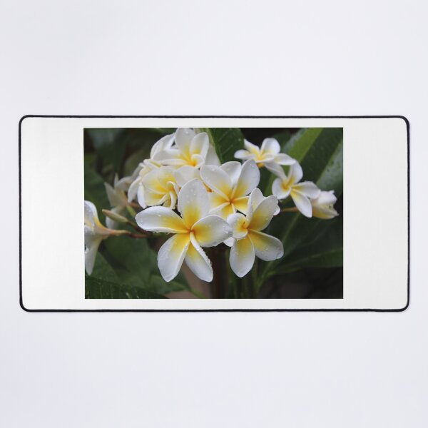 Item preview, Frangipani designed and sold by WinterRabbitArt.