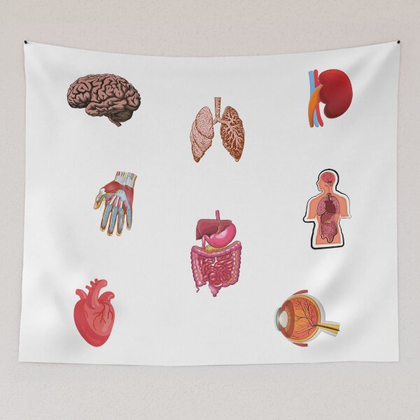 Item preview, Human Anatomy and Internal Organs designed and sold by silviaol.