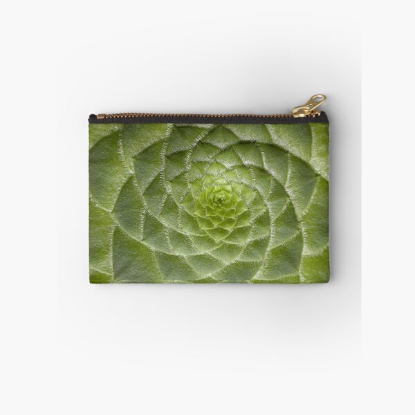 Item preview, Cute succulent Spiral plant designed and sold by Spasija.