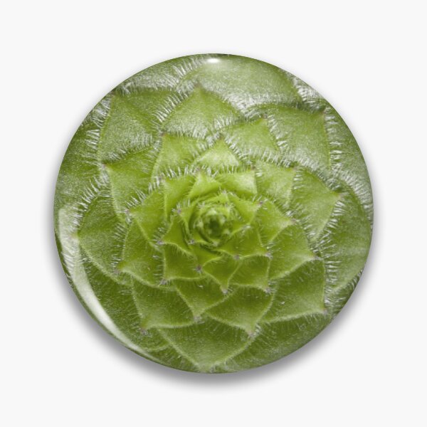Item preview, Cute succulent Spiral plant designed and sold by Spasija.