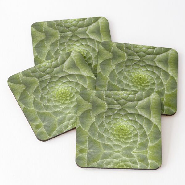 Item preview, Cute succulent Spiral plant designed and sold by Spasija.