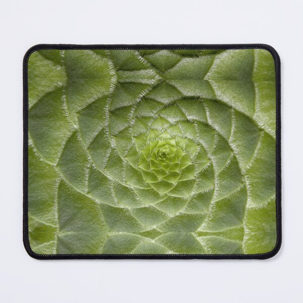Item preview, Cute succulent Spiral plant designed and sold by Spasija.