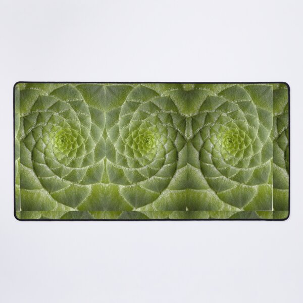 Item preview, Cute succulent Spiral plant designed and sold by Spasija.