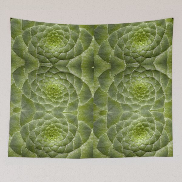 Item preview, Cute succulent Spiral plant designed and sold by Spasija.