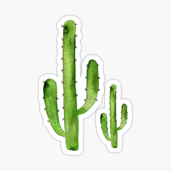 lil cacti watercolor sticker for sale by http mack redbubble