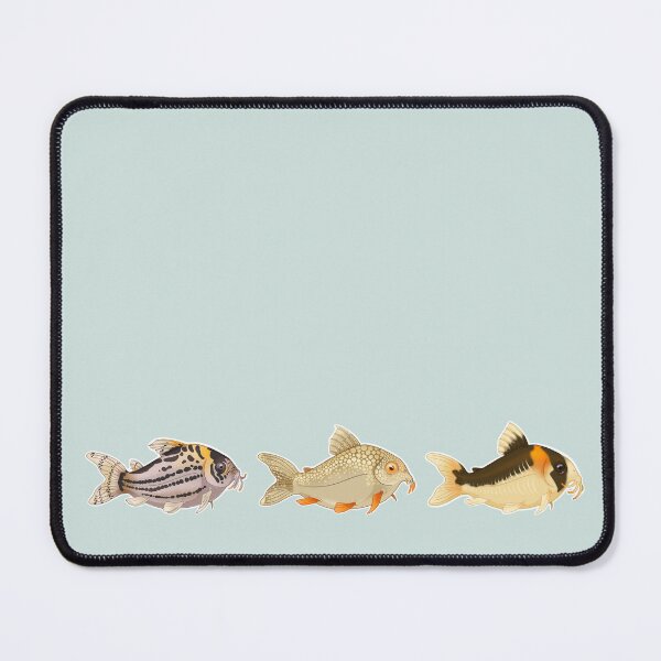 Item preview, Fish fanatic -Corydoras lineup; Schwartzi, Sterbai, Adolpho designed and sold by Puddmuppy.