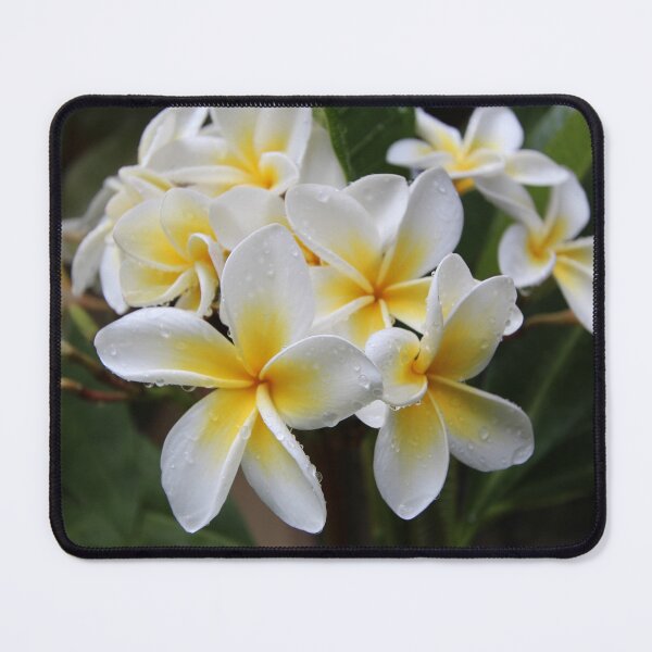 Item preview, Frangipani designed and sold by WinterRabbitArt.