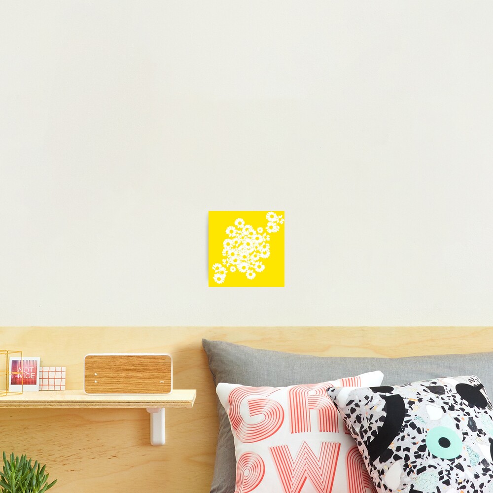 sunshine Photographic Print