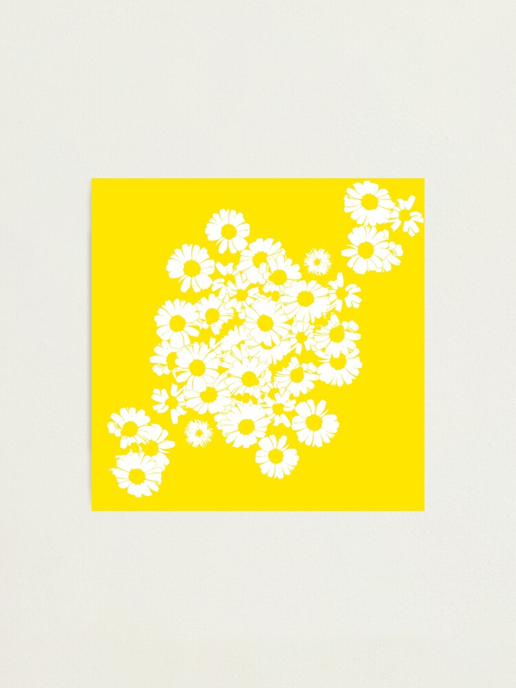 Alternate view of sunshine Photographic Print
