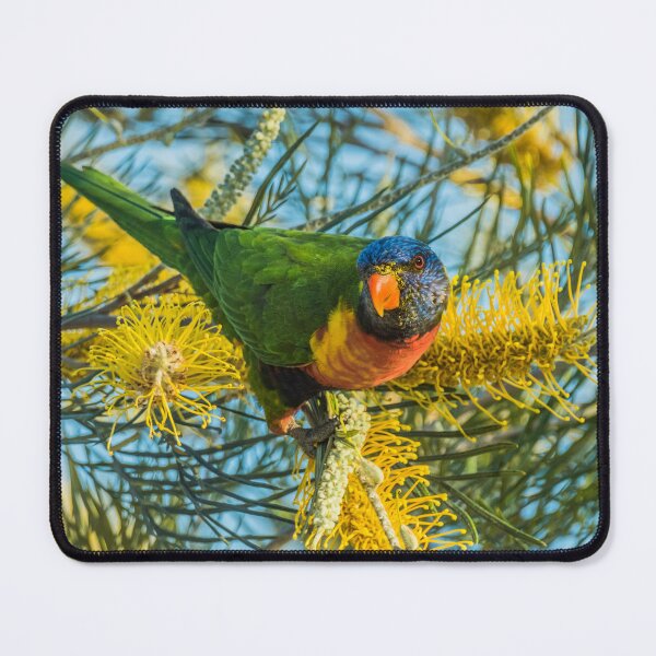 Item preview, Feeding Time designed and sold by ken47.