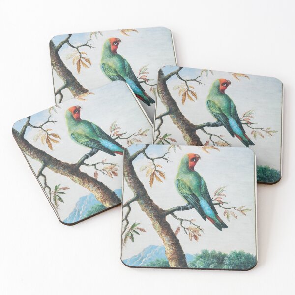 Item preview, Molly the forest parot designed and sold by Inspieation.