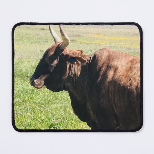 Item preview, matriarch designed and sold by BrassSnap.