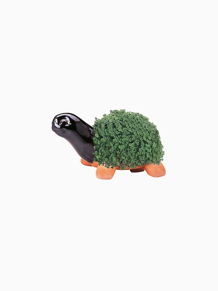 chia pet t shirt