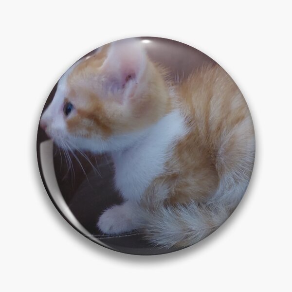 Item preview, Smart Golden Kitten designed and sold by Majash.