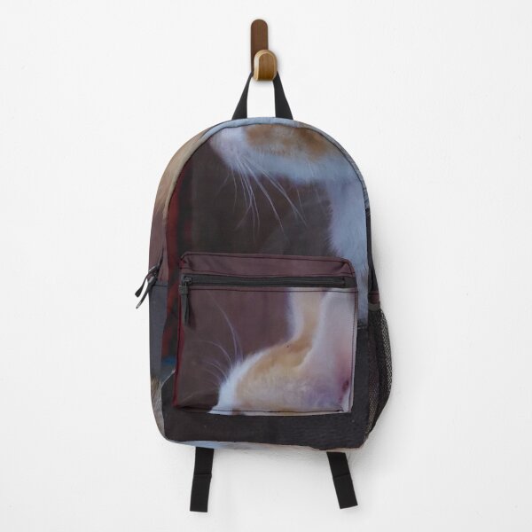 Item preview, Smart Golden Kitten designed and sold by Majash.