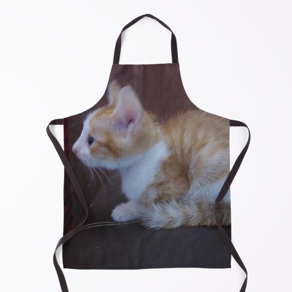 Item preview, Smart Golden Kitten designed and sold by Majash.