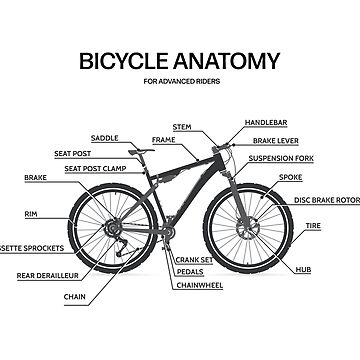 Anatomy Bike Parts Chart Bicycle Anatomy Advanced Black