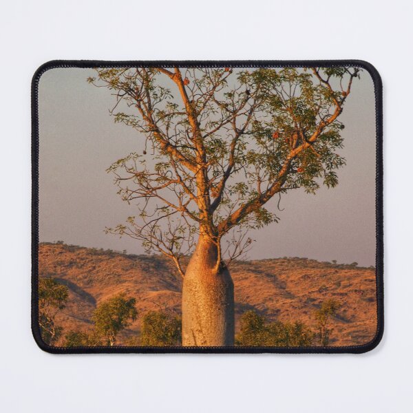 Item preview, Boab Tree in the Kimberley designed and sold by Adrianne Yzerman.