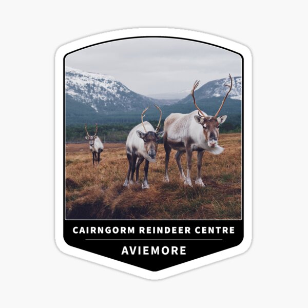 Item preview, Cairngorm Reindeer Centre, Aviemore, Highlands, Scotland designed and sold by Vitaly Frog.