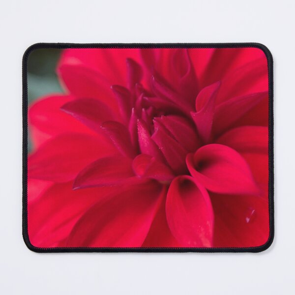 Item preview, Red Dahlia Flower designed and sold by Sinemathk.