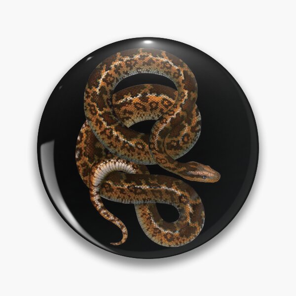 Item preview, Vintage Snake Illustration | Atrophis Tigris | Die Indische Stern - Schlingschlange | The Indian Star Snake designed and sold by WadeLestat.