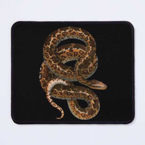 Item preview, Vintage Snake Illustration | Atrophis Tigris | Die Indische Stern - Schlingschlange | The Indian Star Snake designed and sold by WadeLestat.