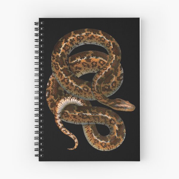 Item preview, Vintage Snake Illustration | Atrophis Tigris | Die Indische Stern - Schlingschlange | The Indian Star Snake designed and sold by WadeLestat.