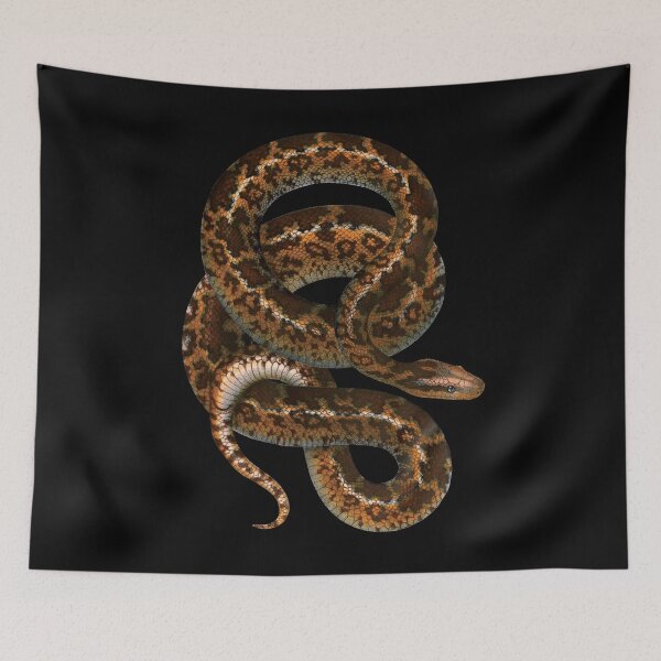 Item preview, Vintage Snake Illustration | Atrophis Tigris | Die Indische Stern - Schlingschlange | The Indian Star Snake designed and sold by WadeLestat.