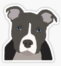 Pitbull Sticker