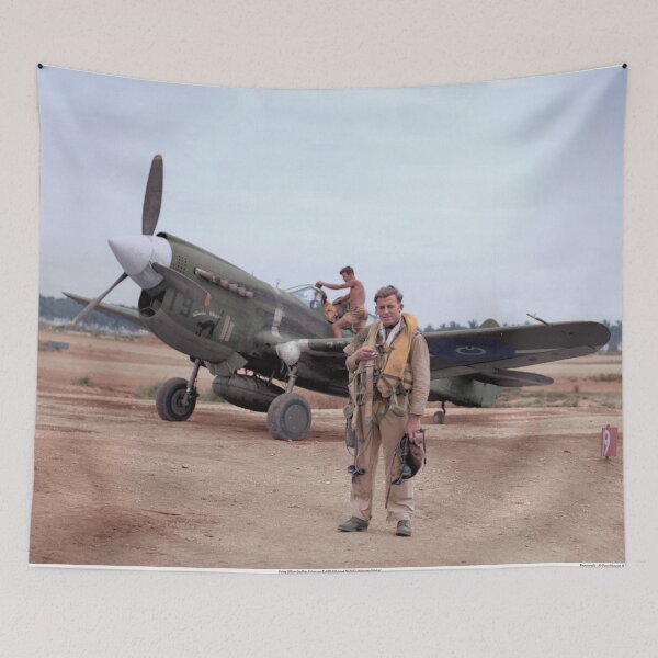 Item preview, Geoffrey Fisken and P-40M Kittyhawk "Wairarapa Wildcat" designed and sold by Rarity-Color.