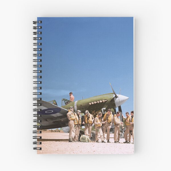 Item preview, RNZAF pilots with P-40N ''Gloria Lyons'' designed and sold by Rarity-Color.