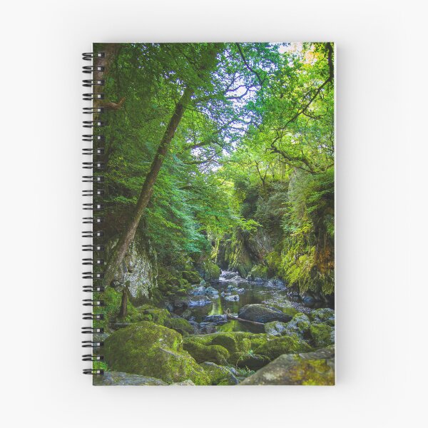 Item preview, Fairy Glen (Ffos Anoddun) near Betws-y-Coed in Wales designed and sold by MichaelBShannon.