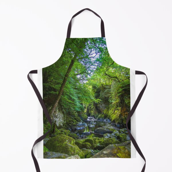 Item preview, Fairy Glen (Ffos Anoddun) near Betws-y-Coed in Wales designed and sold by MichaelBShannon.