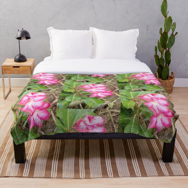 Item preview, GUAM, PLUMERIA, FLOWER, FMG6966 designed and sold by FMG6966.
