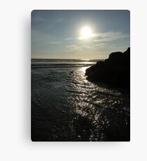 ocean Canvas Print