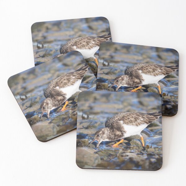 Item preview, Foraging turnstone designed and sold by GreyFeatherPhot.