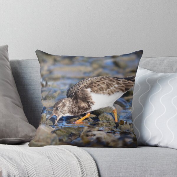 Item preview, Foraging turnstone designed and sold by GreyFeatherPhot.