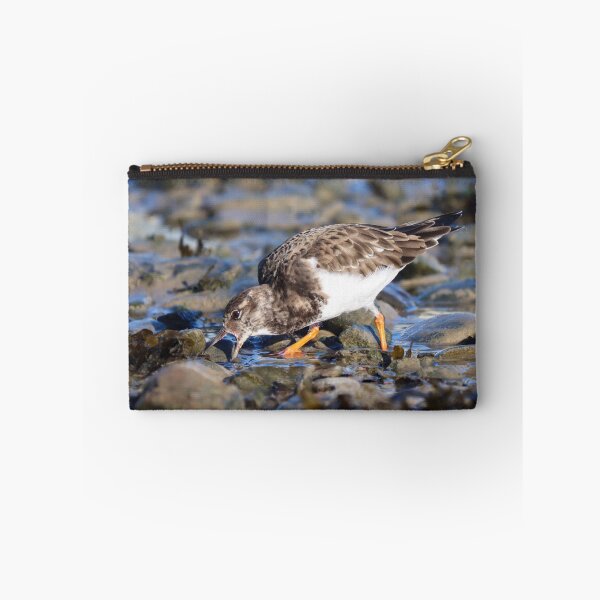 Item preview, Foraging turnstone designed and sold by GreyFeatherPhot.