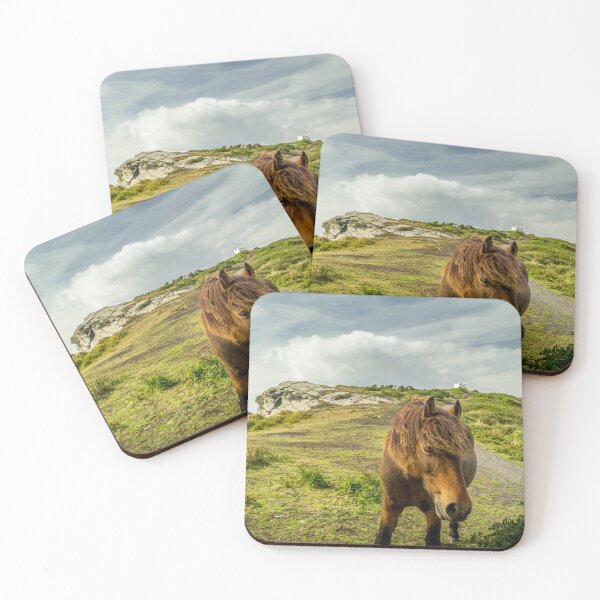 Item preview, A brown horse / pony standing on top of the cliffs near Boscastle in Cornwall designed and sold by MichaelBShannon.